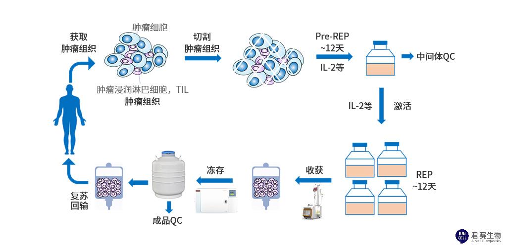 deepTIL.jpg